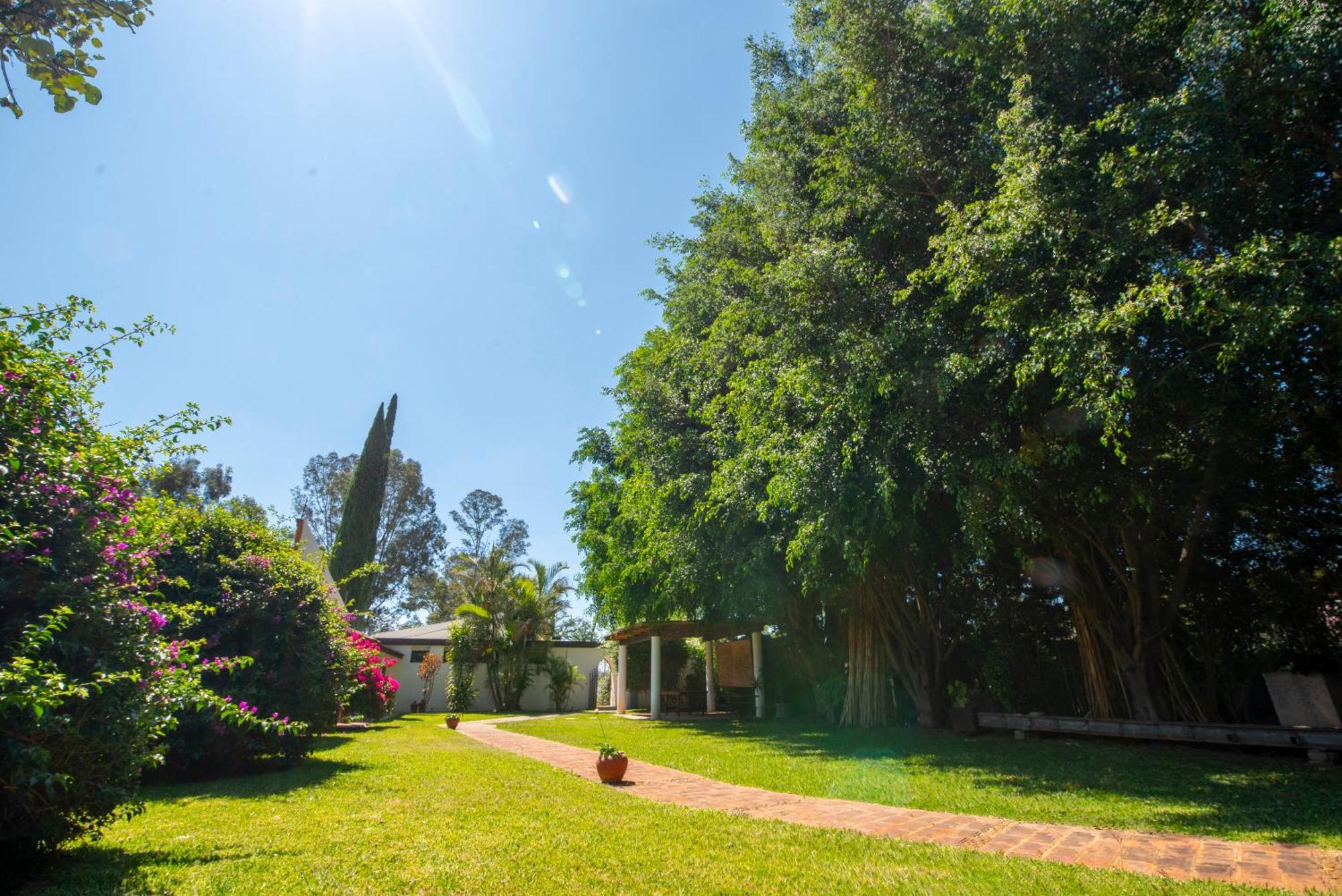 Villa Borghese Hotel Boutique - Adults Only Oaxaca Екстер'єр фото